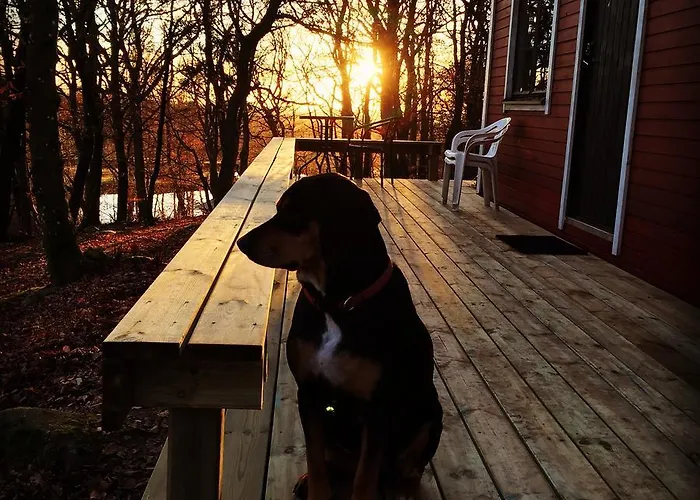 Farm Stay Happy Dogs Ranch