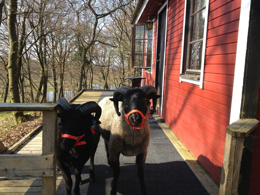 Farm Happy Dogs Ranch Bauernhof *