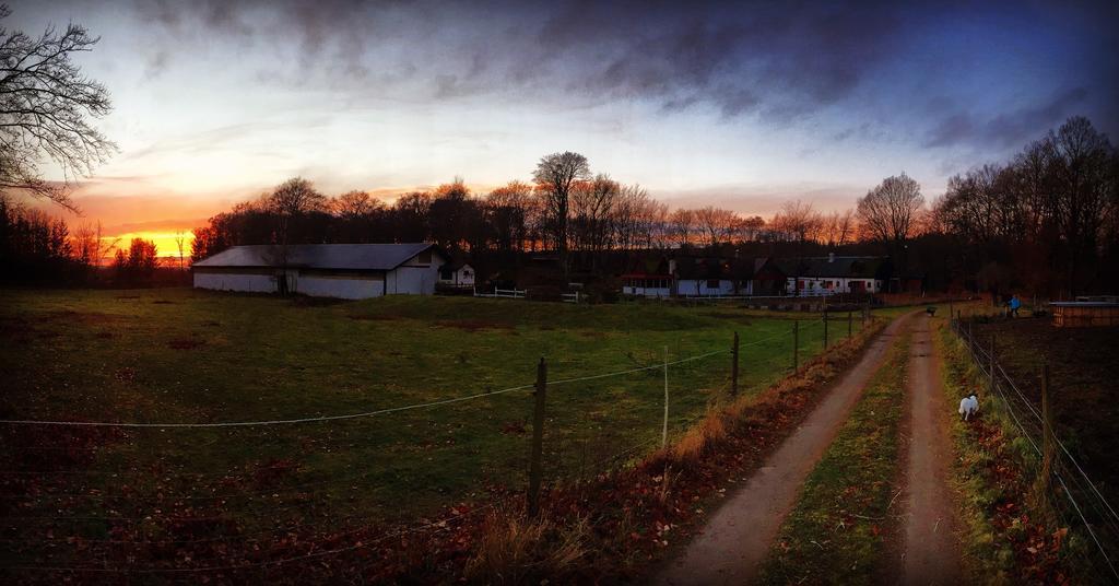 Bauernhof Farm Happy Dogs Ranch