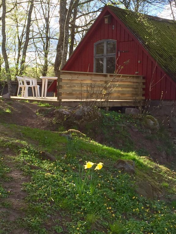 Farm Happy Dogs Ranch Bauernhof