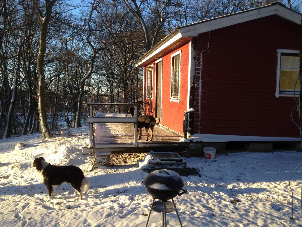Bauernhof Farm Happy Dogs Ranch *