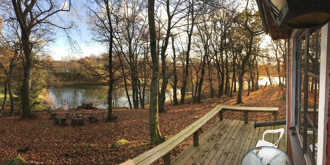 Farm Happy Dogs Ranch Bauernhof