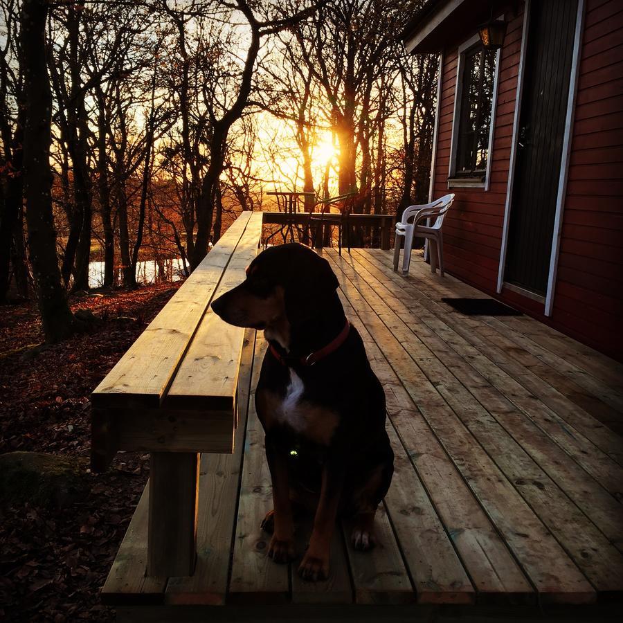 Bauernhof Farm Happy Dogs Ranch *