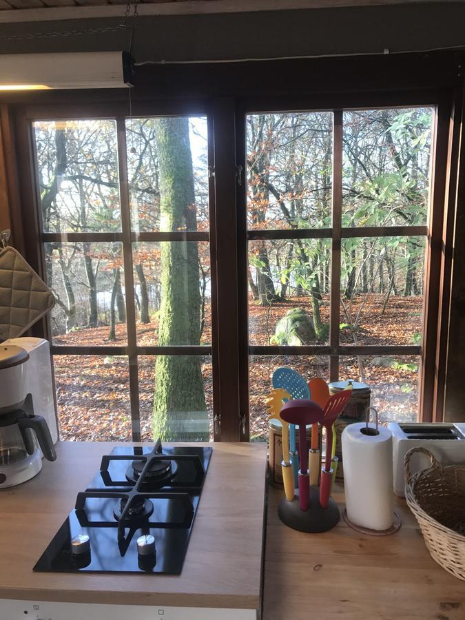 Farm Happy Dogs Ranch Bauernhof *